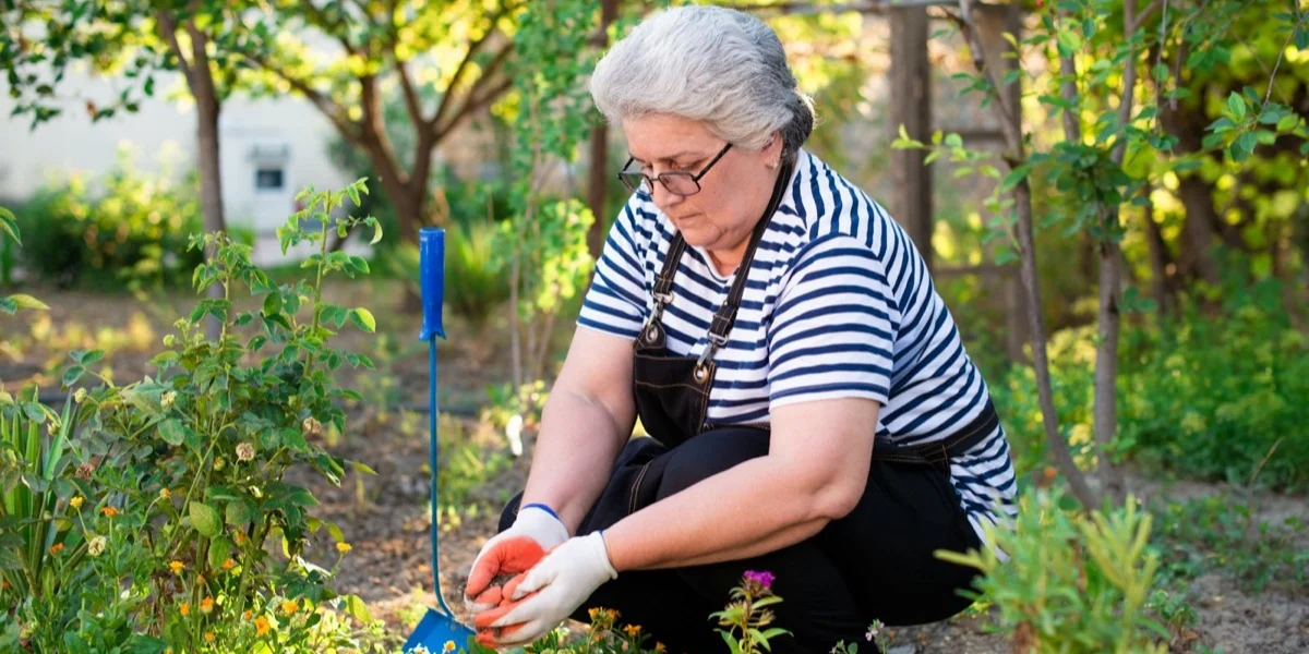 4 tips voor de beginnende tuinier