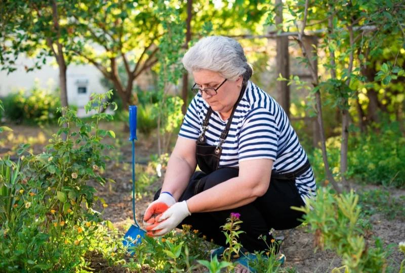 4 tips voor de beginnende tuinier